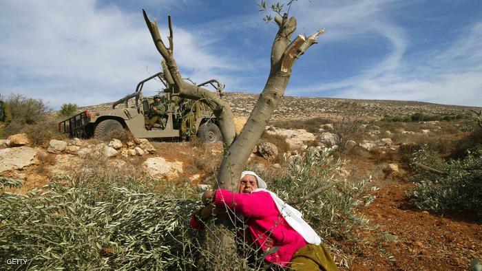 وزارة شؤون المرأة تصدر بيانا بمناسبة الذكرى الـ 44 ليوم الأرض